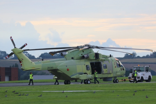 Poland Merlin at Yeovil Phil Adkin 640