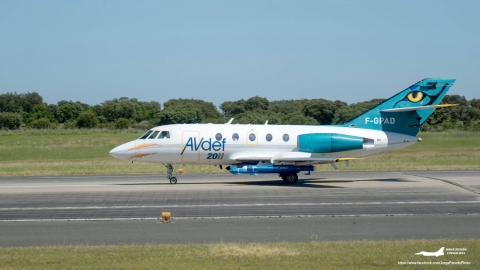 NTM21 AVDEF Falcon 20 Jorge Penedo Fotografia 480