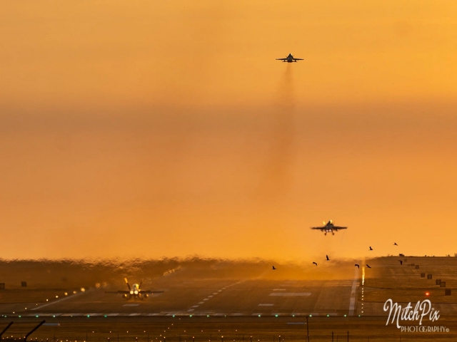 Australia RAAF Hornet 1 640