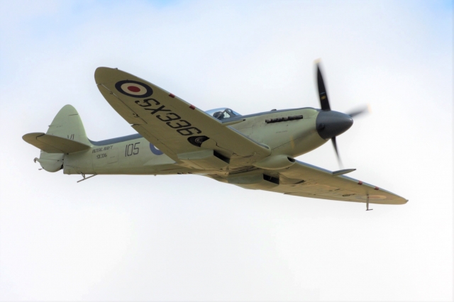 Warbirds Seafire SX336 640