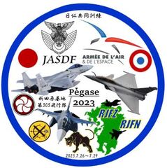 Japan JASDF AAE Pegase exercise 320