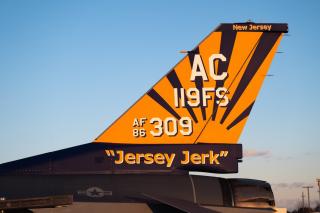 USA F16 Jersey Jerk tail 320