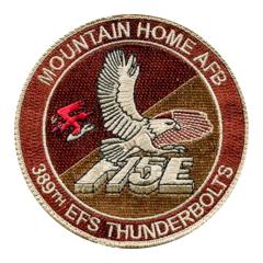 USA F15E Thunderbolts patch 320